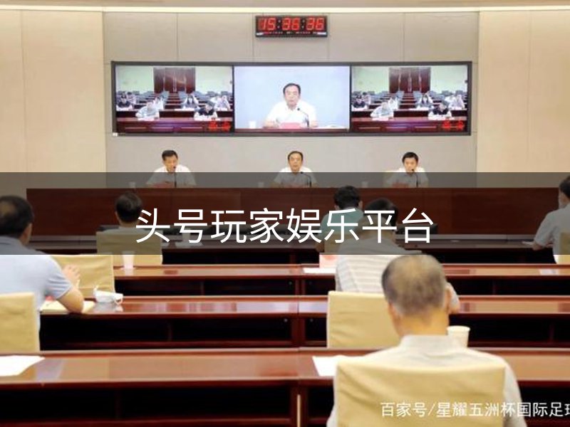 公司未来蓝图
